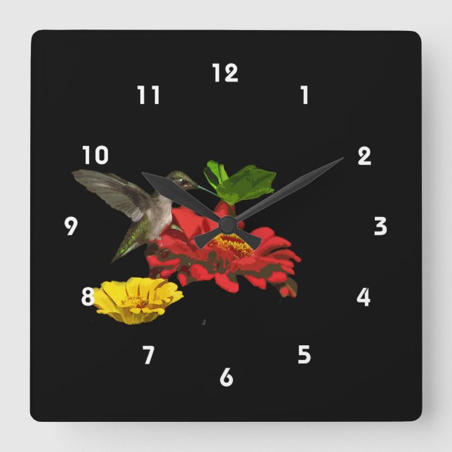 Kolibri auf Zinnias Quadratische Wanduhr (Vorderseite)