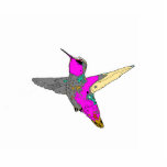 Kolibri-Baum-Verzierung Fotoskulptur Ornament<br><div class="desc">Niedlich,  Digital gemalt von der Fotografie,  heißes Rosa Annas vom Kolibri-Weihnachtsbaum oder von hängender Verzierung.  Verzierungs-Foto-Skulptur.</div>