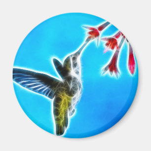 Kolibri, der Nektar isst Magnet