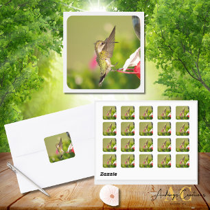 Kolibri Design #108A0604 Quadratischer Aufkleber
