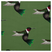 Kolibri-Designergewebe