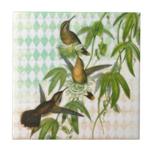 Kolibri Digital Art Fliese