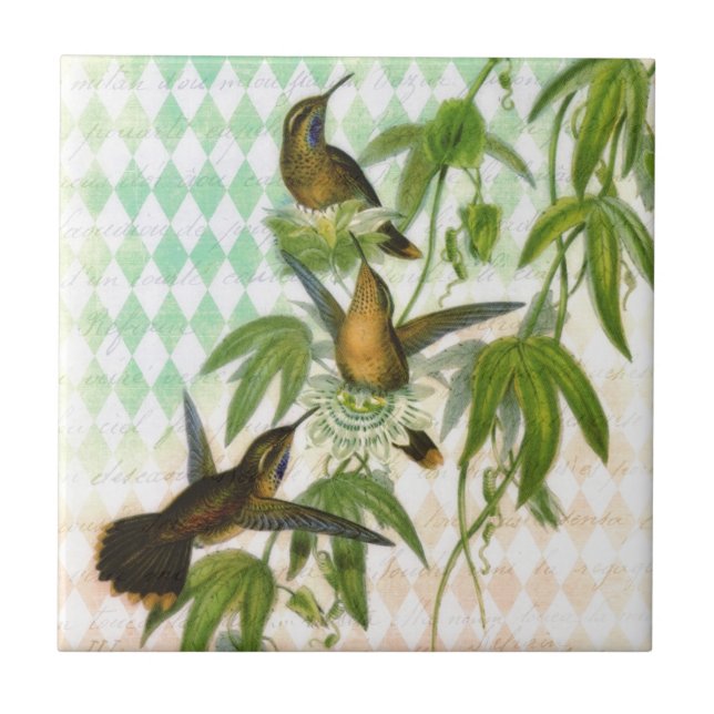 Kolibri Digital Art Fliese (Vorderseite)