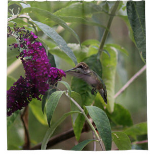 Kolibri Duschvorhang