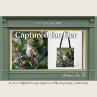 Kolibri-Fein-Kunst-Tasche Muttertagsgeschenk