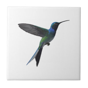 Kolibri Fliese
