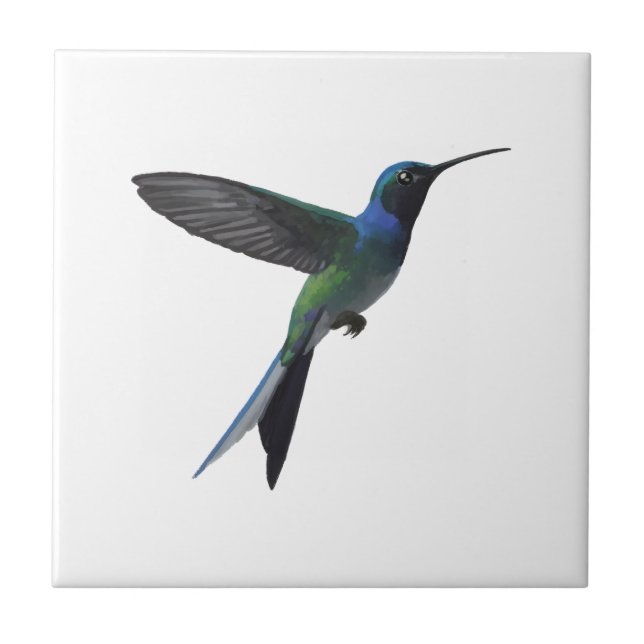 Kolibri Fliese (Vorderseite)