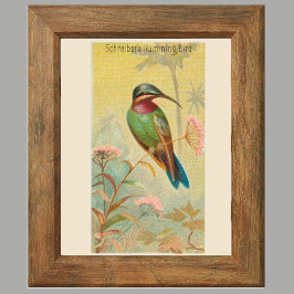 Kolibri, Galerie-Wandkunst-Set aus 6 Teilen, 5/6 P Poster