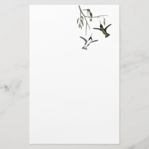 Kolibri gerecyceltes Briefpapier