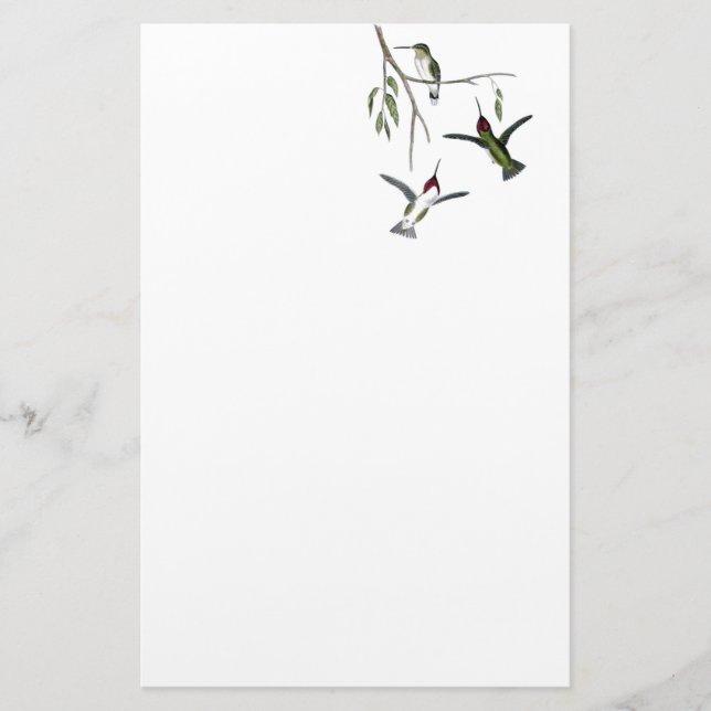 Kolibri gerecyceltes Briefpapier (Vorderseite)