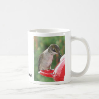 Kolibri, Getränk herauf das Leben! Tasse