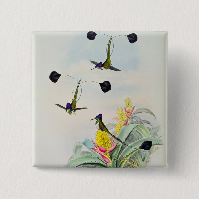 Kolibri, graviert durch Walter und Cohn Button (Vorderseite)