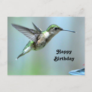 Kolibri Grün Flug Foto Wildlife Geburtstag Postkarte