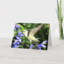 Kolibri-Gruß-Karte Karte