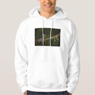 Kolibri Hoodie