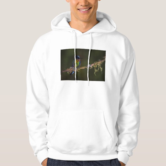 Kolibri Hoodie (Vorderseite)