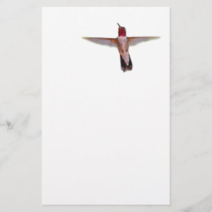 Kolibri im Flug Briefpapier