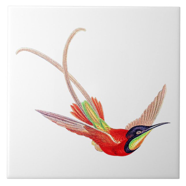 Kolibri im Flug Fliese (Vorderseite)