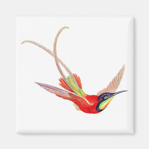 Kolibri im Flug Magnet