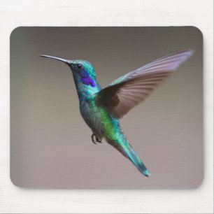 Kolibri im Flug Mousepad