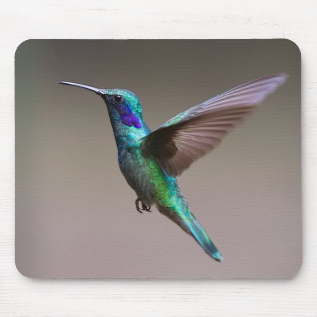 Kolibri im Flug Mousepad (Vorne)