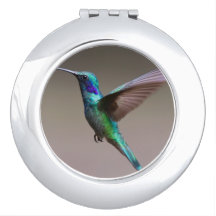 Kolibri im Flug