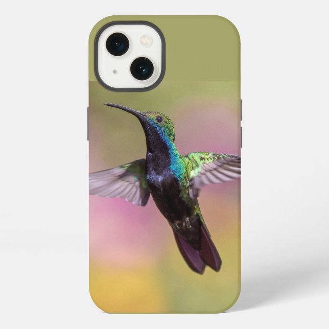 Kolibri  iPhone hülle (Rückseite)
