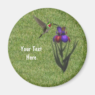 Kolibri-Iris-Blumen-Magnet Magnet