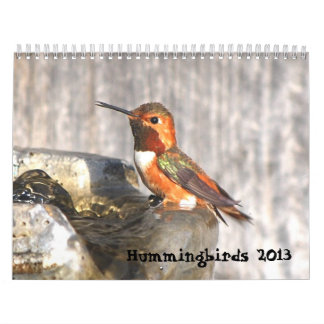 Kolibri-Kalender 2013 Kalender