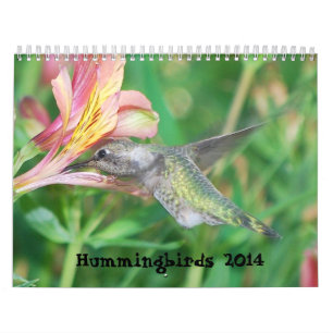Kolibri-Kalender 2014 Kalender