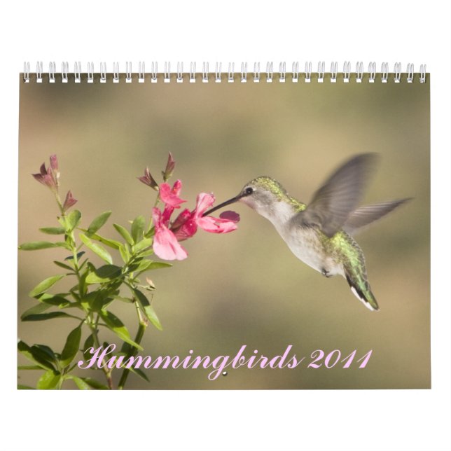 Kolibri-Kalender Kalender (Titelbild)