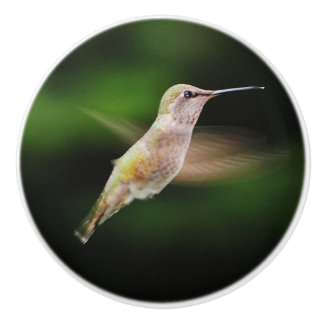 Kolibri-Keramikgriff Keramikknauf