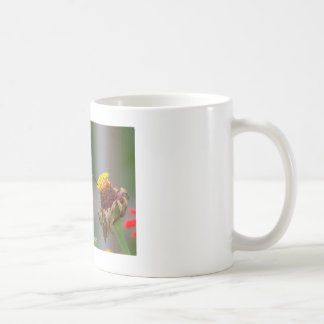 Kolibri-klassische weiße Tasse