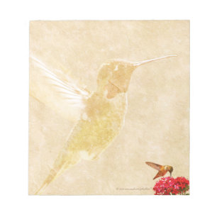 Kolibri - KLEINER Notizblock/Notiz-Auflage Notizblock