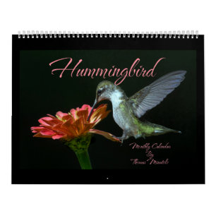Kolibri-Monatskalender von Tom Minutolo Kalender