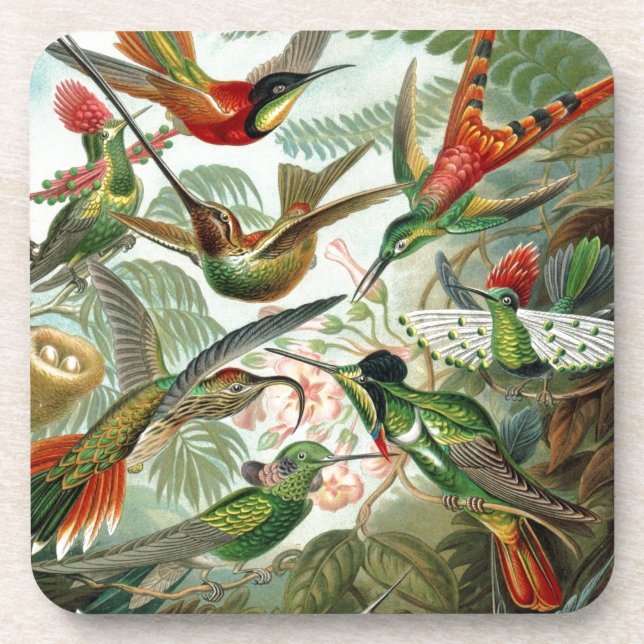 Kolibri-Paradies Kunst Untersetzer (Vorderseite)