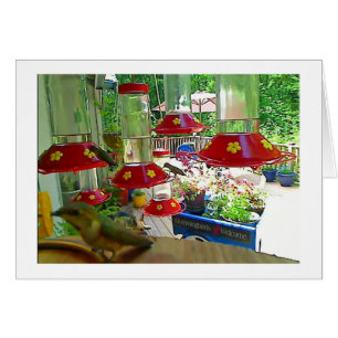 Kolibri-Portal-Karte