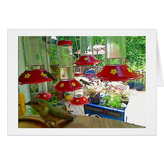 Kolibri-Portal-Karte (Vorderseite (Horizontal))