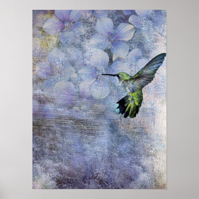 Kolibri Poster (Vorne)