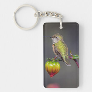 Kolibri ruht auf Blütenknospe Schlüsselanhänger