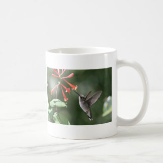 Kolibri-Schätze Tasse