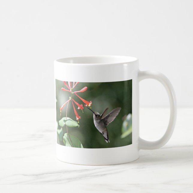Kolibri-Schätze Tasse (Rechts)