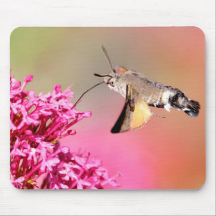 Kolibri-Schwärmer Schmetterling im Flug Metall  Mousepad