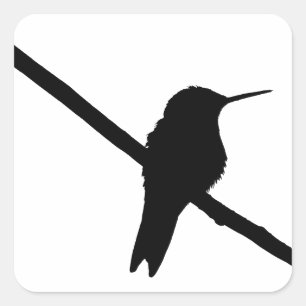 Kolibri-Silhouette Quadratischer Aufkleber