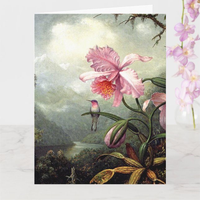 Kolibri sitzend, feine Kunst, Karte (Orchidee)