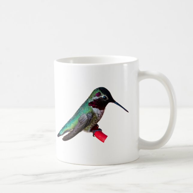 Kolibri Tasse - Entwürfe C und D (Rechts)