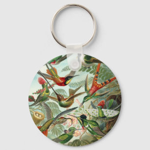 Kolibri (Trochilidae) von Haeckel Schlüsselanhänge Schlüsselanhänger