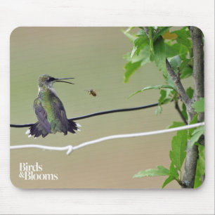 Kolibri-u. Honig-Biene Mousepad