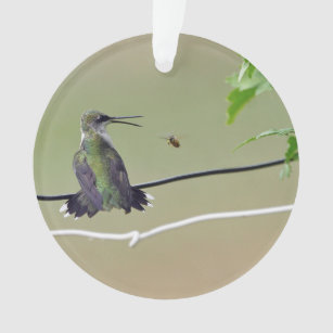 Kolibri-u. Honig-Biene Ornament