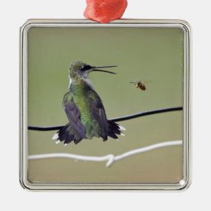 Kolibri-u. Honig-Biene Ornament Aus Metall